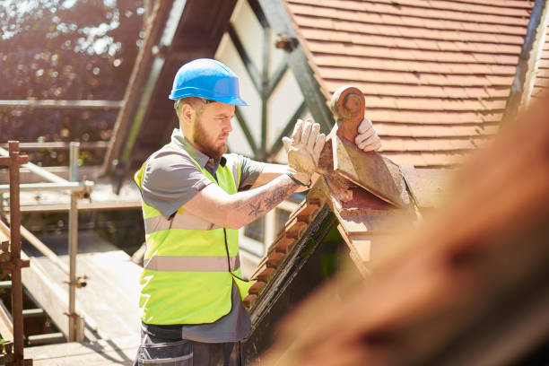 Professional Roofing Contractor in Maple Park, IL